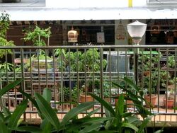 Serangoon North Avenue 1 (D19), Shop House #601940181